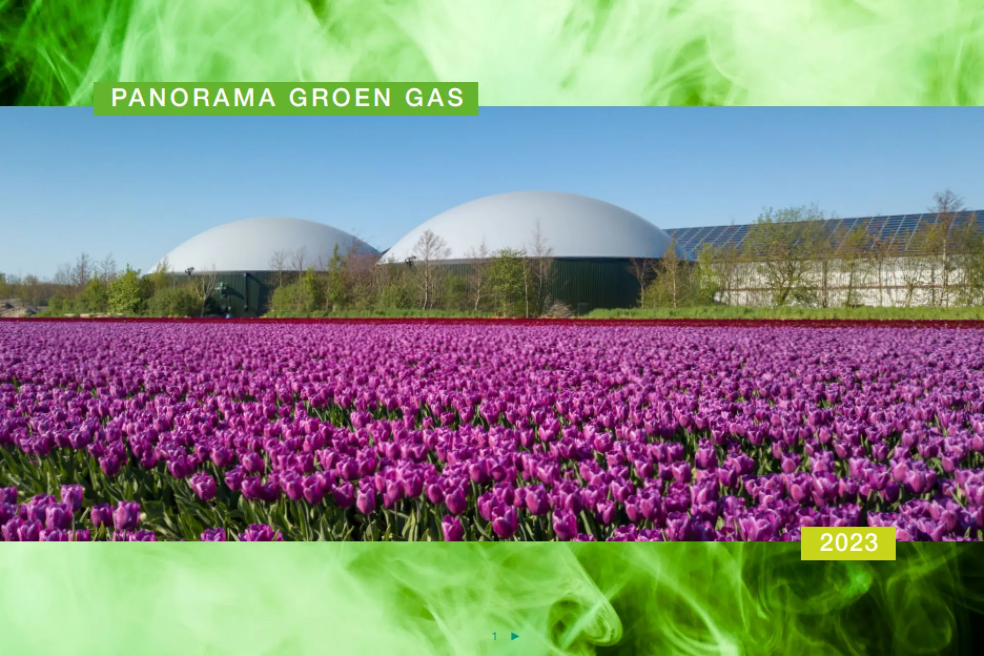 Velden vol paarse bloemen met biogasinstallaties op de achtergrond