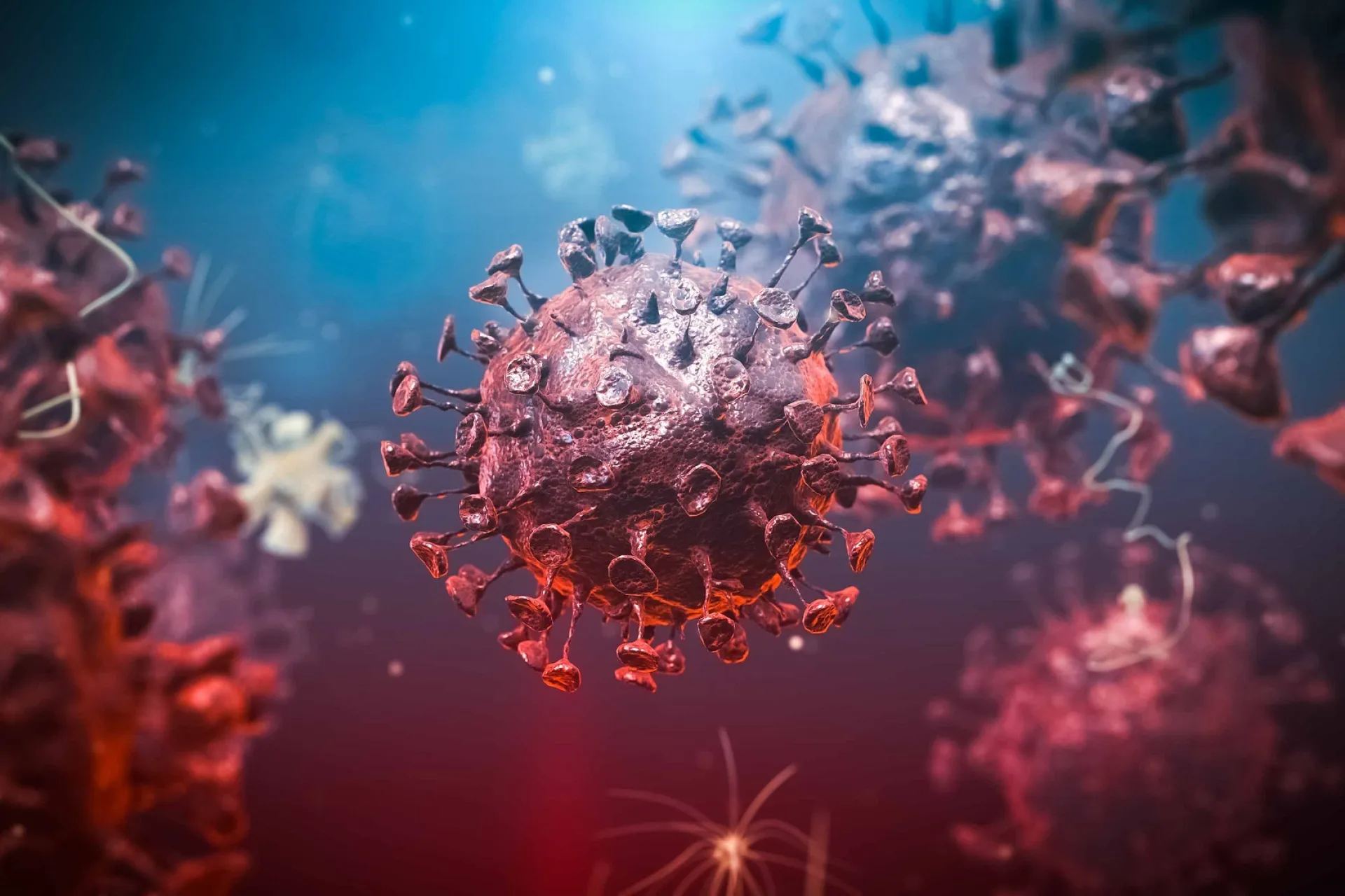 Afbeelding van het coronavirus met spike-eiwitten.