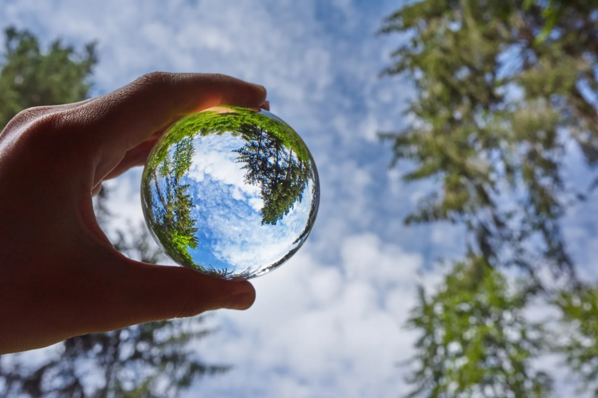 Een hand houdt een glazen wereldbol vast tegen een blauwe lucht met bomen.